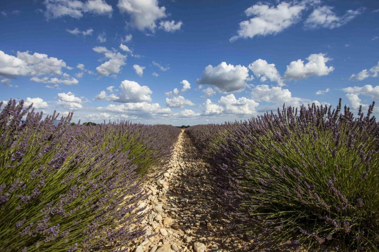 Maison Luberon أبْتْ المظهر الخارجي الصورة